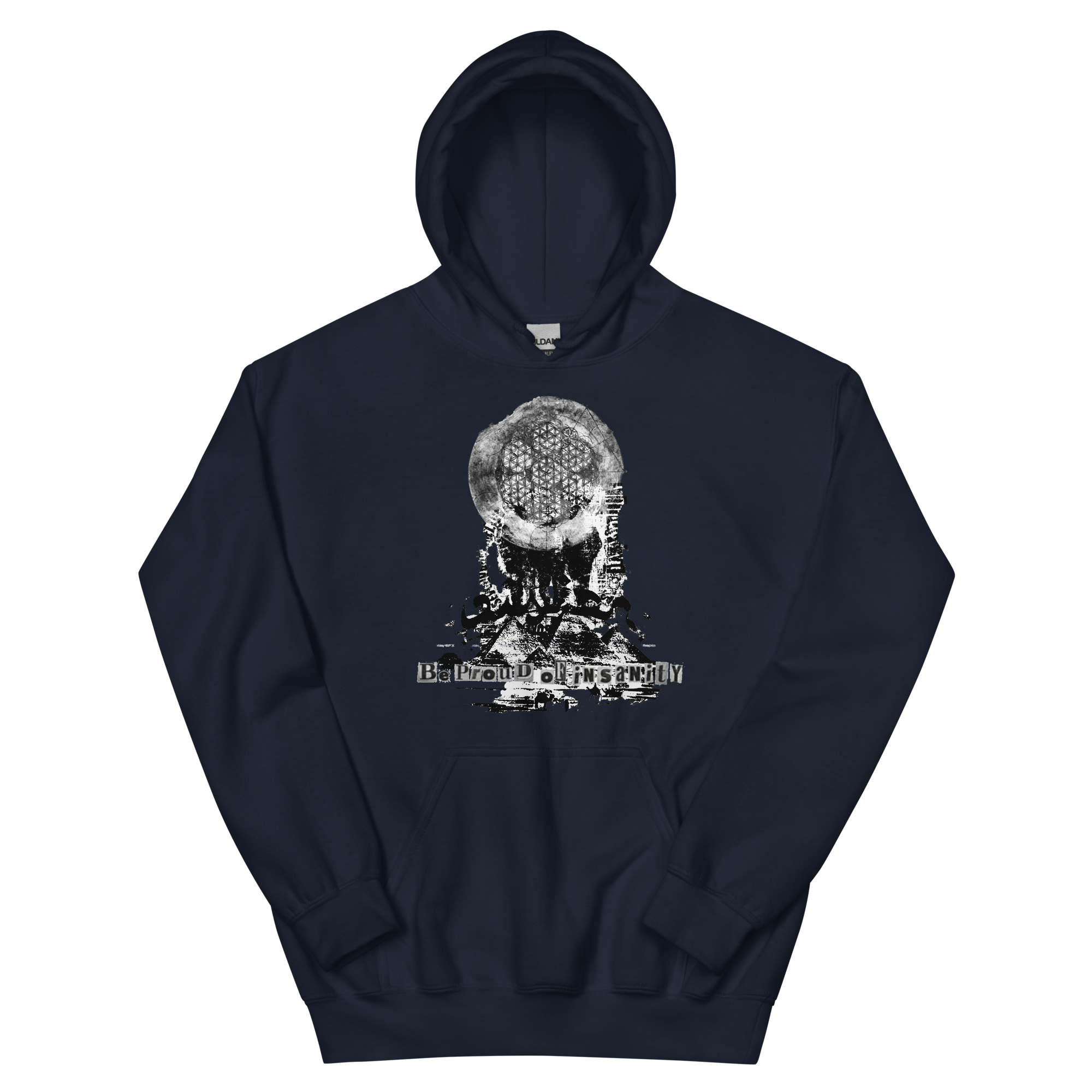 0471744155261513 - Proud of Insanity